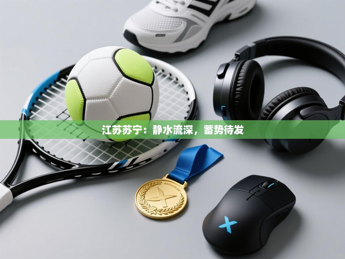 江苏苏宁:静水流深,蓄势待发 第2张