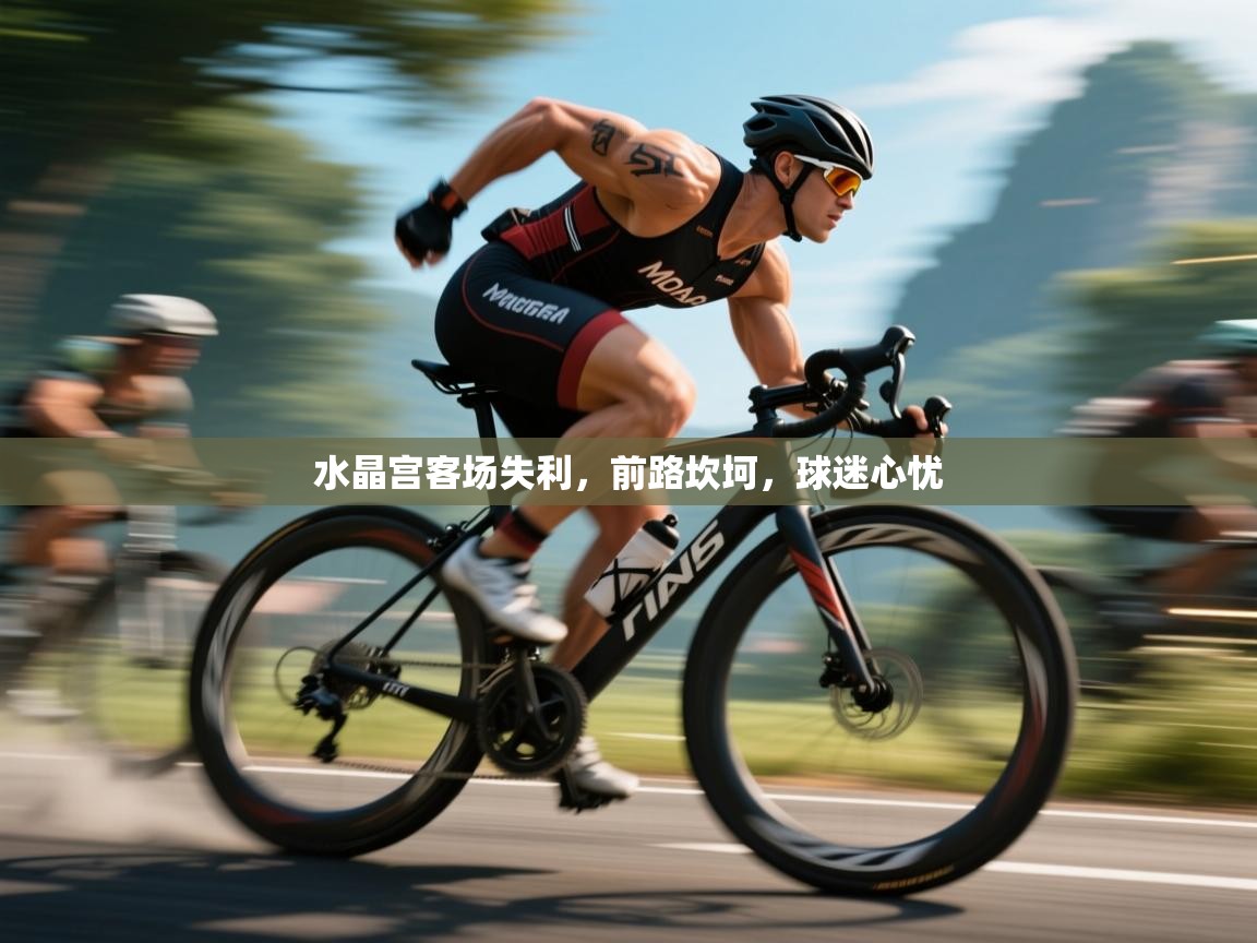 水晶宫客场失利，前路坎坷，球迷心忧  第1张