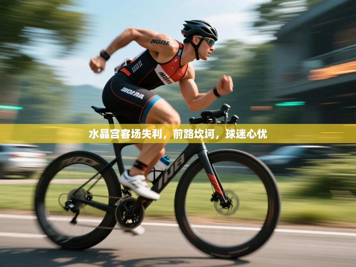 水晶宫客场失利，前路坎坷，球迷心忧  第2张