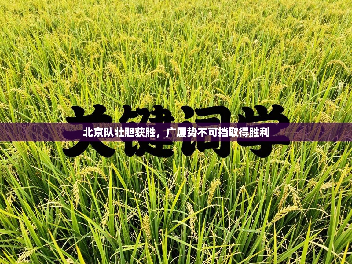 北京队壮胆获胜，广厦势不可挡取得胜利  第2张