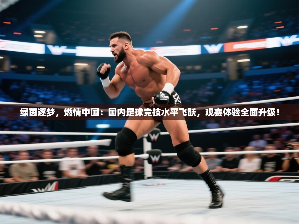 绿茵逐梦,燃情中国:国内足球竞技水平飞跃,观赛体验全面升级! 第2张